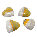 Bumblebee Jasper Heart (Singles)
