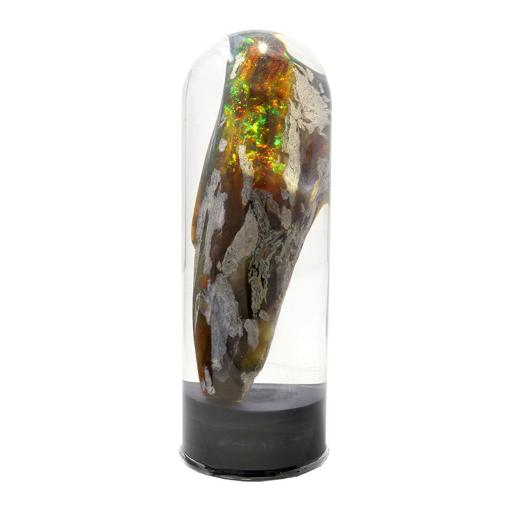 Black Opal Virgin Valley Nevada - Single Specimen
