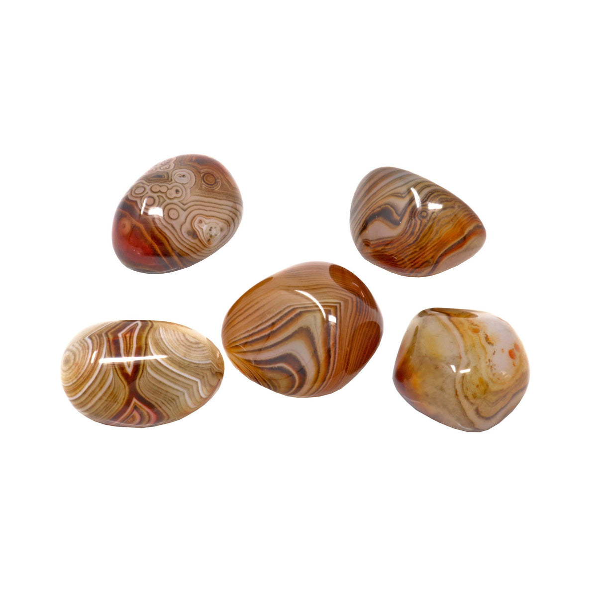 Tumbled Sardonyx - Medium (Singles)