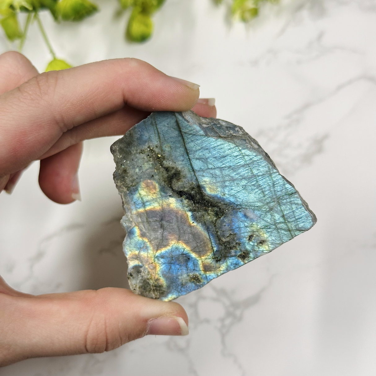 High Quality Labradorite Specimen with Natural Edge (Free Stand with Purchase)