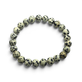 Rare Earth Gallery 8mm round Dalmatian Jasper beaded bracelet with natural cream and black spotted stone pattern