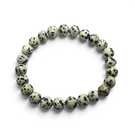 Rare Earth Gallery 8mm round Dalmatian Jasper beaded bracelet with natural cream and black spotted stone pattern