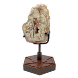 Laguna Lace Agate Geode on A Custom Patina Geometric Star Stand