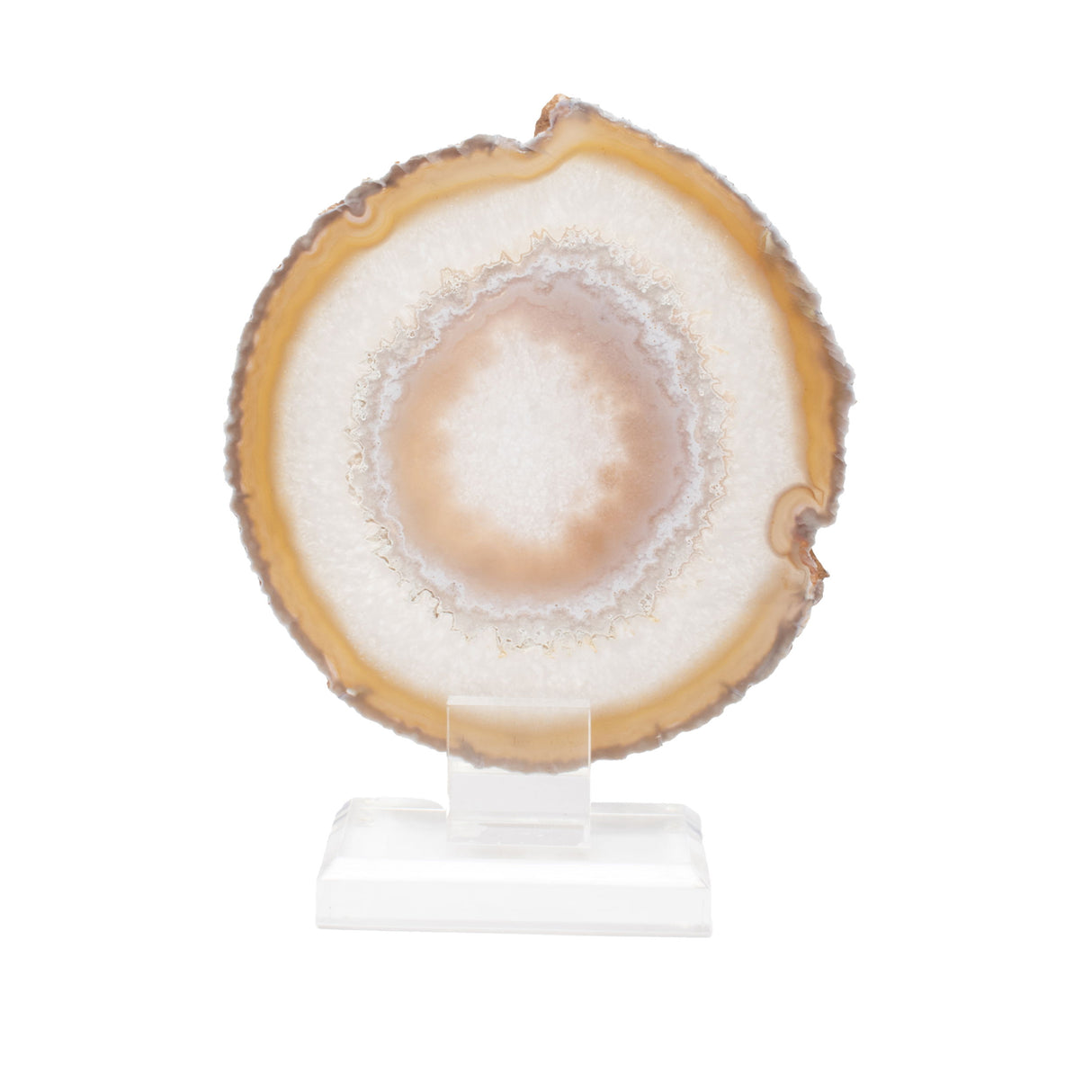 Citrus Carnelian Agate Slice On Acrylic Screw Stand with Pink Hue Banding Centered Eye Pattern