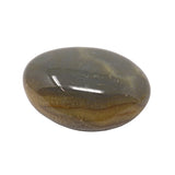 Agate Palm Stone - Gray with Brecciated Red