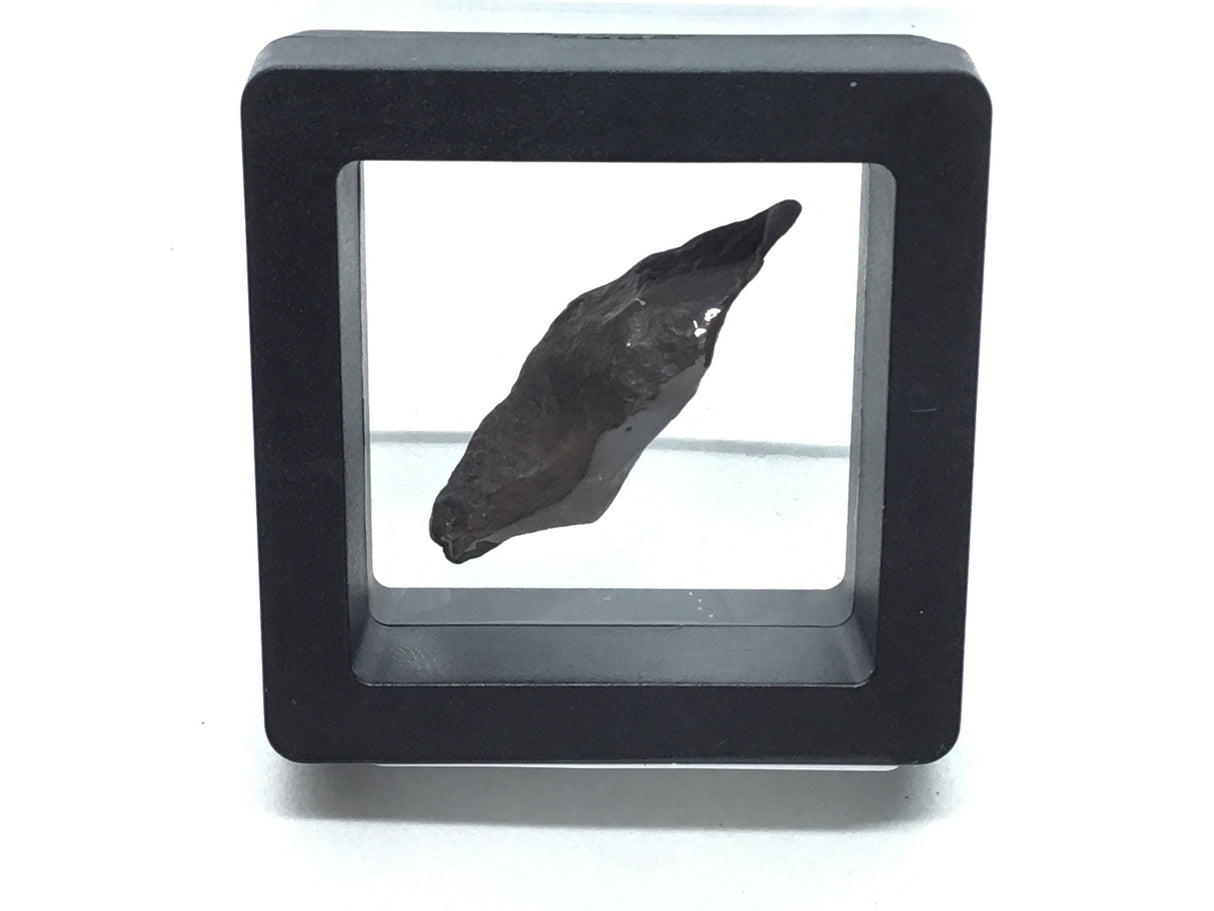 Tumbled Canyon Diablo Meteorite In Gel Box