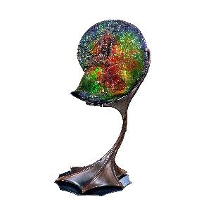 Colorful ammonite with ammolite on a white background