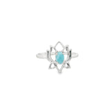 Larimar Teardrop Ring - Prong Set in Silver Lotus