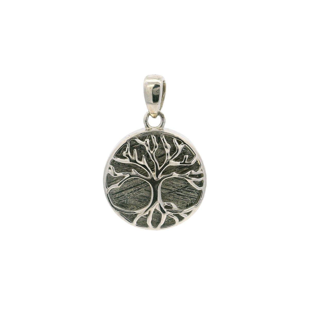 Muonionalusta Meteorite Tree of Life Pendant - Double-Sided with Quartz Casing & Rhodium Overlay Sterling Silver - Sacred Geometry