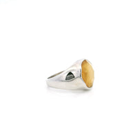 Muonionalusta Meteorite Ring - Round with Gold Vermeil & Faceted Star of David Crystal on 925 Sterling Silver Bezel & Band