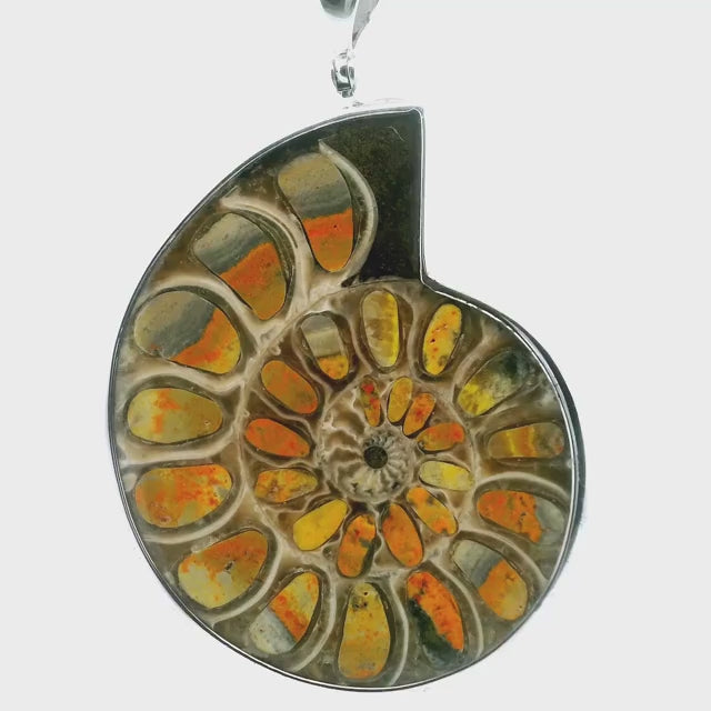 Ammonite Fossil Pendant - Open Ammonite Cross-section Inlaid with Orange & Gray Banded Bumblebee Jasper on Light Background Bezel Set in 925 Sterling Silver