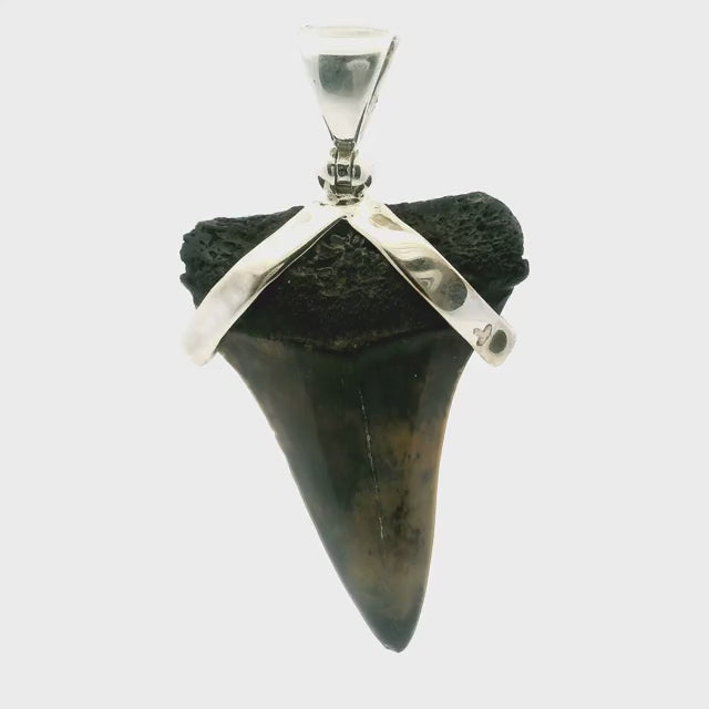 Fossilized Shark Tooth Pendant - Gray & Tan Mottled Tooth Set with Smooth Strap in 925 Sterling Silver