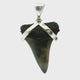 Fossilized Shark Tooth Pendant - Gray & Tan Mottled Tooth Set with Smooth Strap in 925 Sterling Silver