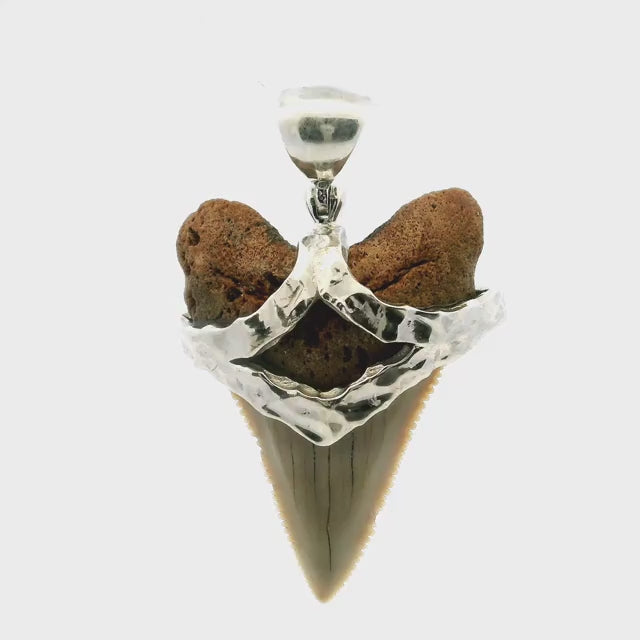 Fossilized Shark Tooth Pendant - Tan Tooth with Serrated Edges Set with Hammered Strap in 925 Sterling Silver