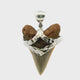 Fossilized Shark Tooth Pendant - Tan Tooth with Serrated Edges Set with Hammered Strap in 925 Sterling Silver