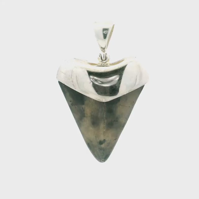 Fossilized Shark Tooth Pendant - Brown & Gray Mottled Tooth Lantern Set in 925 Sterling Silver