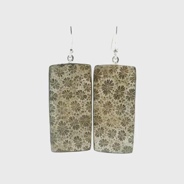 Fossilized Coral Dangle Earrings - Flat Cut Rectangle with Simple 925 Sterling Silver Bezel