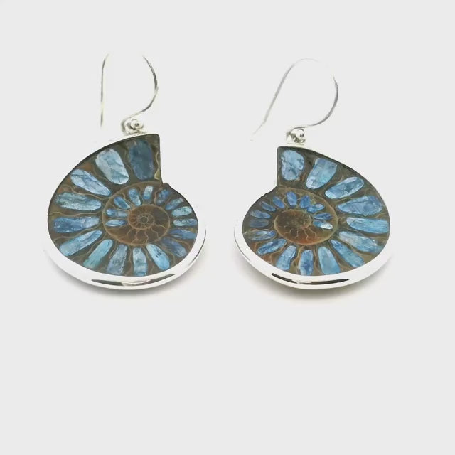Ammonite Fossil Dangle Earrings - Cross-section Inlaid with Kyanite Bezel Set in Simple 925 Sterling Silver