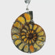 Ammonite Fossil Pendant - Open Ammonite Cross-section Inlaid with Bumblebee Jasper Prong Set in 925 Sterling Silver with Swirled Accent on Reverse
