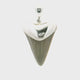 Fossilized Shark Tooth Pendant - Tan Tooth Lantern Set in Simple 925 Sterling Silver