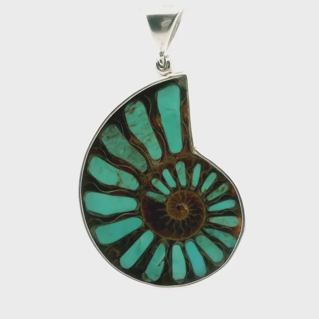 Ammonite Fossil Pendant - Open Ammonite Cross-section Inlaid with Aqua Blue Arizona Turquoise & Minimal Veining Bezel Set in 925 Sterling Silver