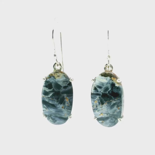 Pietersite Dangle Earrings - Oval Cabochon Prong Set in 925 Sterling Silver