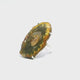 Madagascar Petrified Wood Slice Ring - Polished Oval with Green & Brown & Red Hues Prong Set in 925 Sterling Silver szAdj