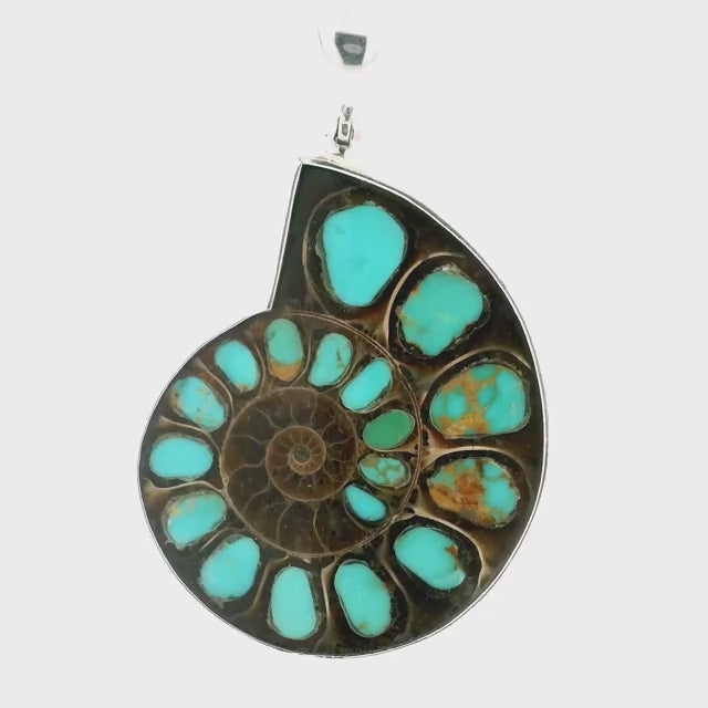 Ammonite Fossil Pendant - Open Ammonite Cross-section Inlaid with Arizona Turquoise & Caramel Inclusions in 2 Pockets Bezel Set in 925 Sterling Silver