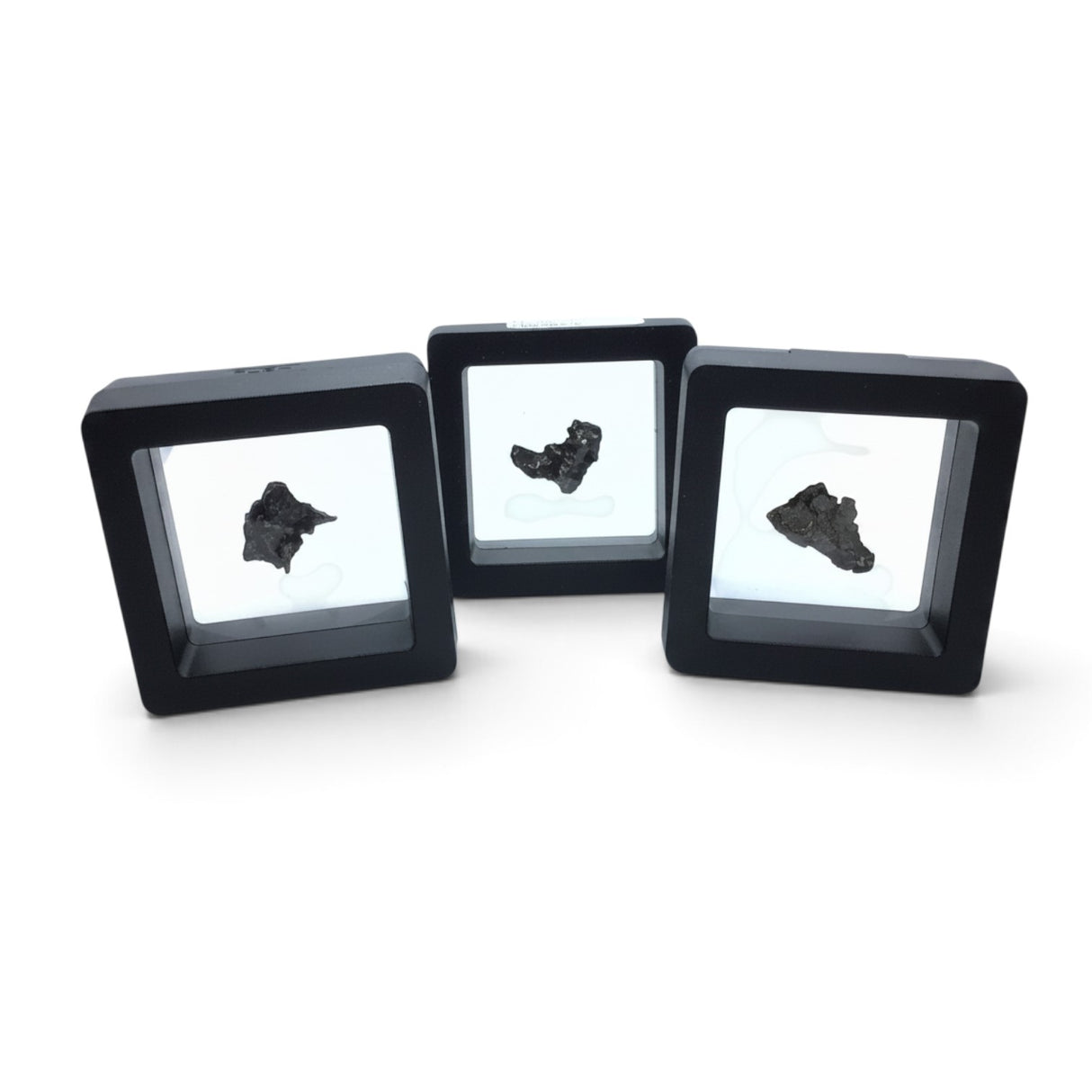Rare Earth Gallery small Campo del Cielo iron meteorite nuggets suspended in black square gel display cases