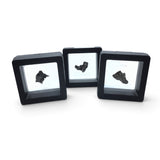Rare Earth Gallery small Campo del Cielo iron meteorite nuggets suspended in black square gel display cases