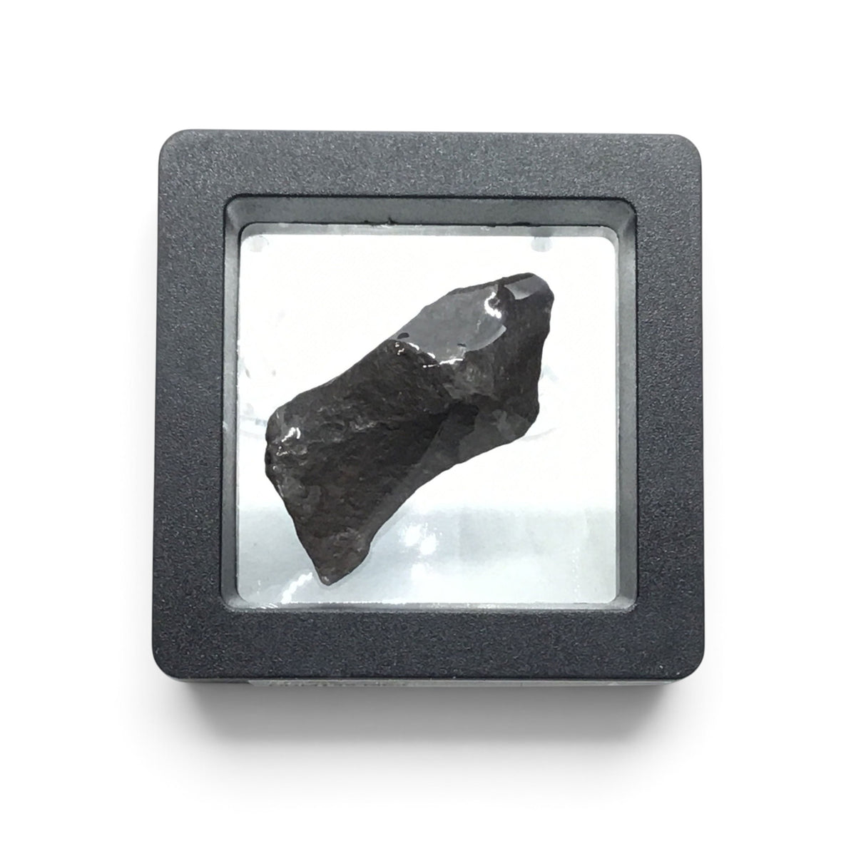 Rare Earth Gallery tumbled Canyon Diablo iron meteorite specimen displayed in a protective black floating gel box.