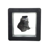 Rare Earth Gallery tumbled Canyon Diablo iron meteorite fragment displayed in a protective black gel box.
