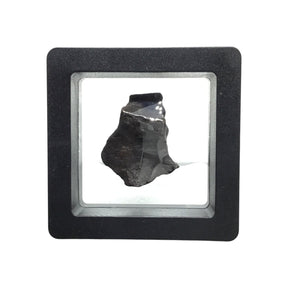 Rare Earth Gallery tumbled Canyon Diablo iron meteorite fragment displayed in a protective black gel box.
