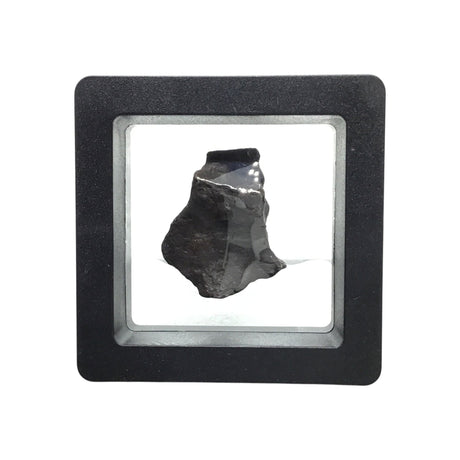 Rare Earth Gallery tumbled Canyon Diablo iron meteorite fragment displayed in a protective black gel box.