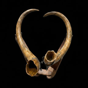 Rare Earth Gallery Alaskan Wooly Mammoth tusk pair mounted on a custom Ipe wood base against a black background.