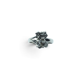 Rare Earth Gallery Campo De Cielo meteorite ring featuring a prong-set cluster duo on a 925 sterling silver band.