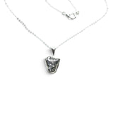 Rare Earth Gallery Campo De Cielo meteorite nugget pendant in a 925 sterling silver bezel on an 18-inch chain