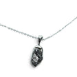 Rare Earth Gallery Campo De Cielo meteorite nugget pendant in a 925 sterling silver bezel on an 18-inch chain