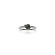 Rare Earth Gallery Campo De Cielo meteorite nugget ring prong-set on a simple polished silver band