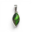 Rare Earth Gallery sharp oval ammolite pendant with iridescent green and gold fossilized shell in a silver bezel.