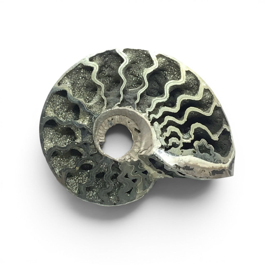Rare Earth Gallery pyritized ammonite fossil with open chambers and opalescent back, showcasing intricate spirals and metallic brilliance.