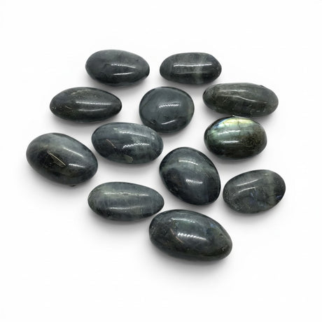 Rare Earth Gallery extra small tumbled labradorite palm stones with blue and gold iridescent flash on white background