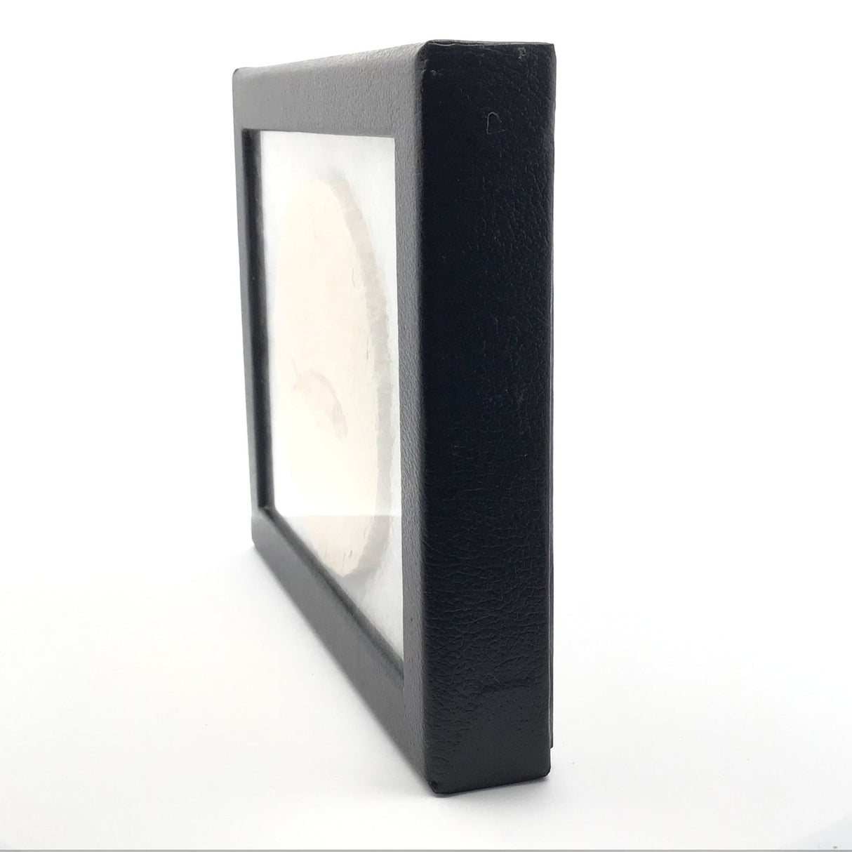 Rare Earth Gallery Wyoming fish fossil displayed in a black Riker box, side view showing the frame depth.