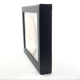 Rare Earth Gallery Wyoming fish fossil displayed in a black Riker box, side view showing the frame depth.