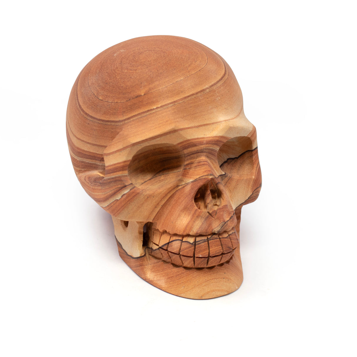 Desert Sandstone Skull Carving
