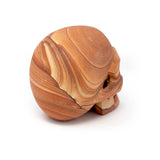 Desert Sandstone Skull Carving