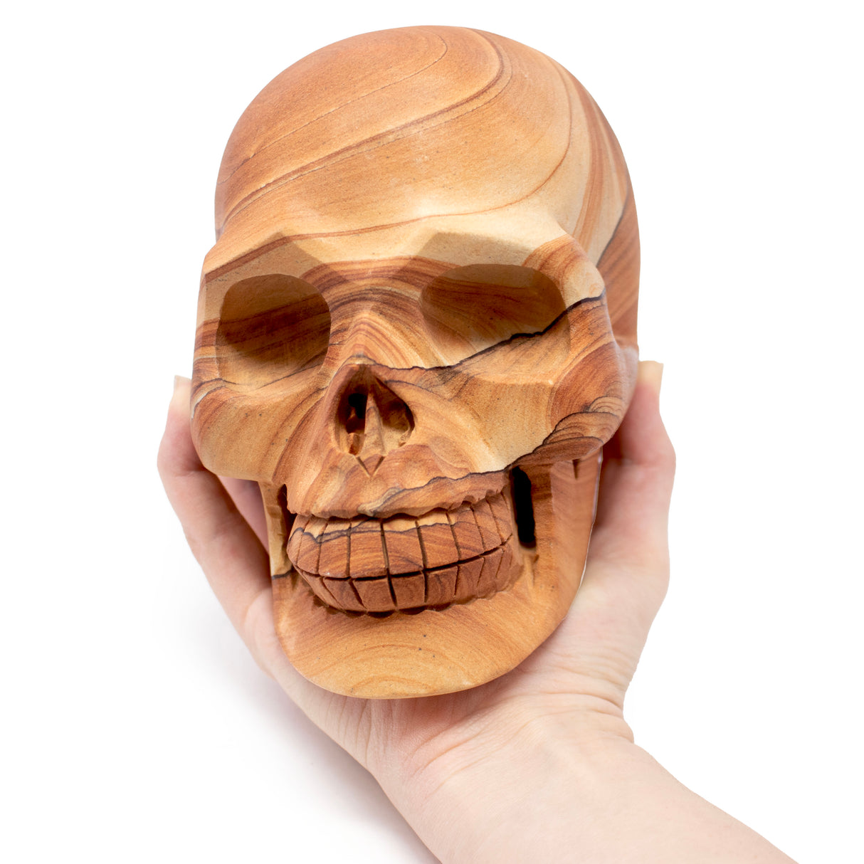 Desert Sandstone Skull Carving