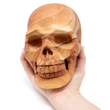 Desert Sandstone Skull Carving