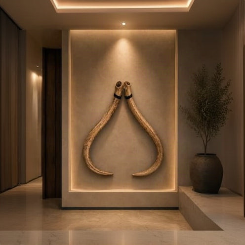 Two curved mammoth tusks displayed upright on a beige wall in a warmly lit interior setting.